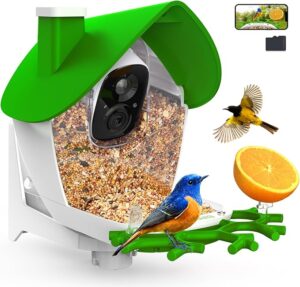 birdsnap&reg; MON &ndash; Bird Feeder with Camera, 2K Detachable Video Bird Feeder Live with 32GB Card Frui
