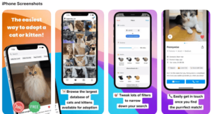 MeowBuddy App