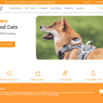 Pet website Homepage